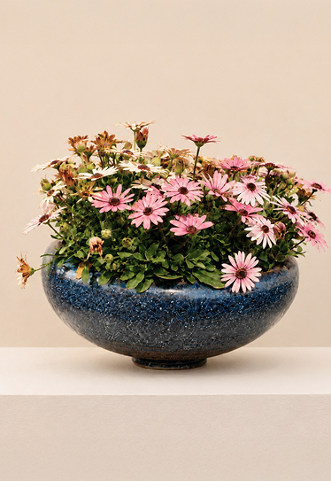 Ceramic Planters